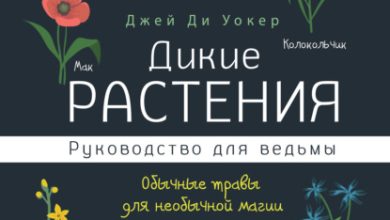 Photo of Магические растения: сказочные свойства