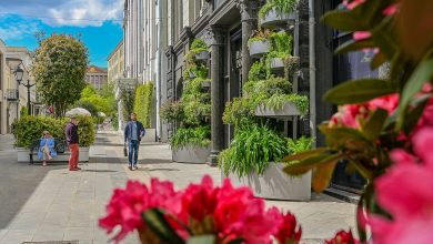 Photo of Редкие растения, которые стоит увидеть